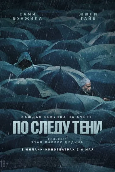 По следу тени